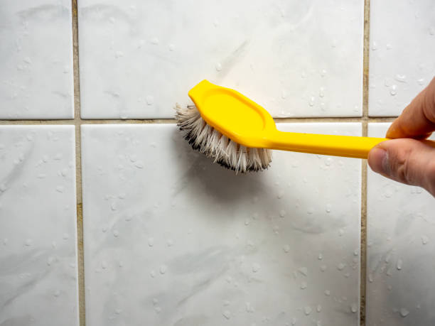 Best Mold Cleaning Services  in Brices Creek, NC