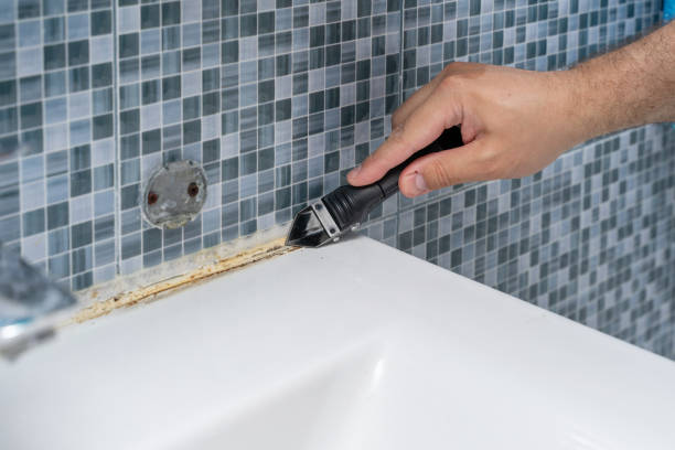Best Office Mold Removal Services  in Brices Creek, NC